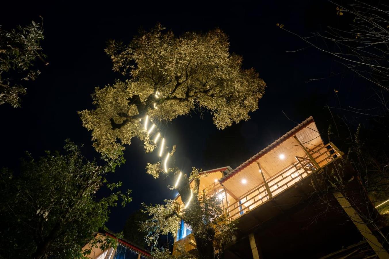 Into The Woods Treehouse Jibhi Villa Exterior foto